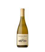 Catena Alta Chardonnay Vin Alb Sec 0.75L Catena Alta Chardonnay Vin Alb Sec 0.75L